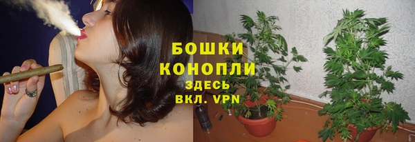 гашиш Касимов