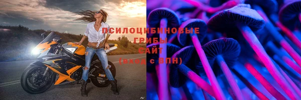 кокс Карпинск