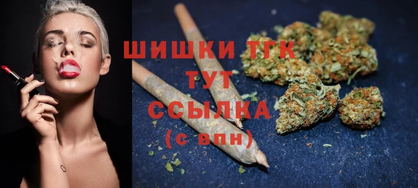 ECSTASY Каменногорск