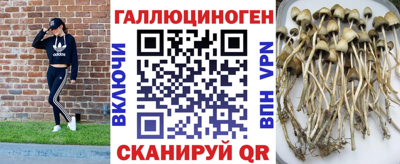 Галлюциногенные грибы прущие грибы  Купить где  Звенигород 